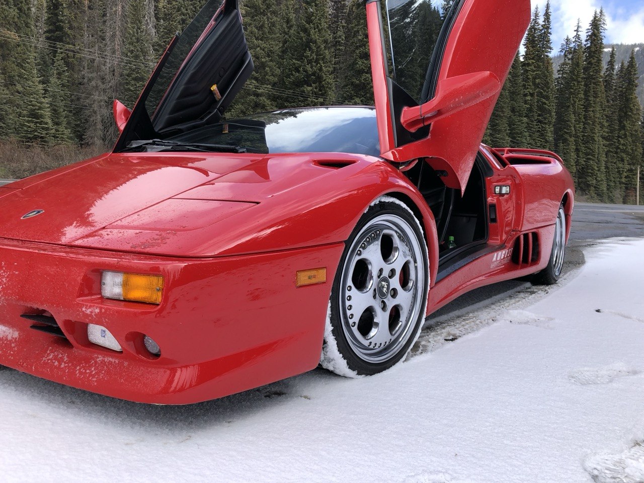 The Lamborghinis — gallery 11