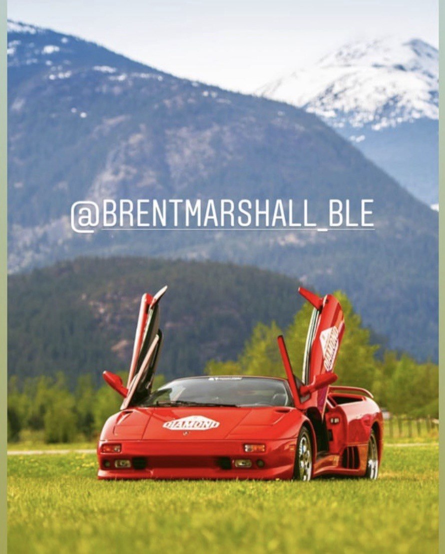 The Lamborghinis — gallery 12
